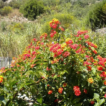 Casa U' Cucunciu דירה