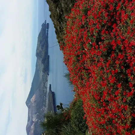 Apartman Casa U' Cucunciu *