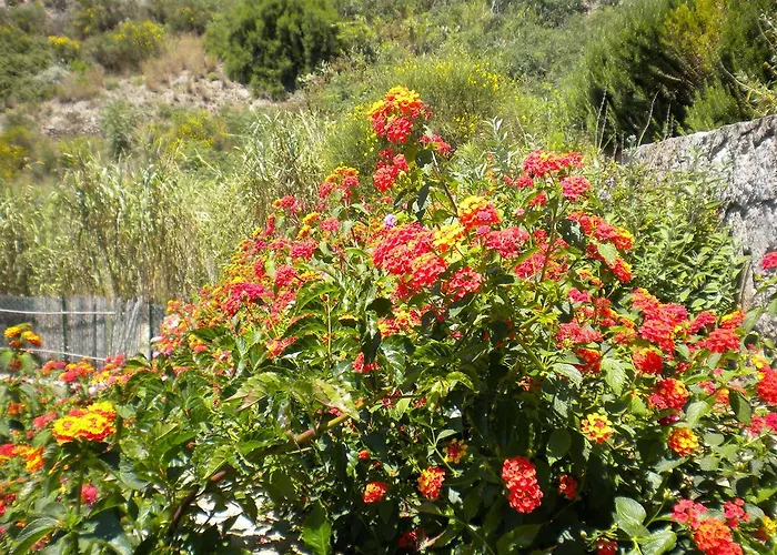 Casa U' Cucunciu Lägenhet