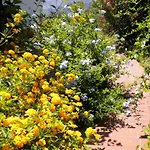 Casa U' Cucunciu Lägenhet Lipari (Isola Lipari)
