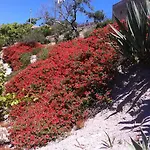 Casa U' Cucunciu Lipari (Isola Lipari)