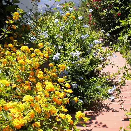 Casa U' Cucunciu Apartmán Lipari (Isola Lipari)