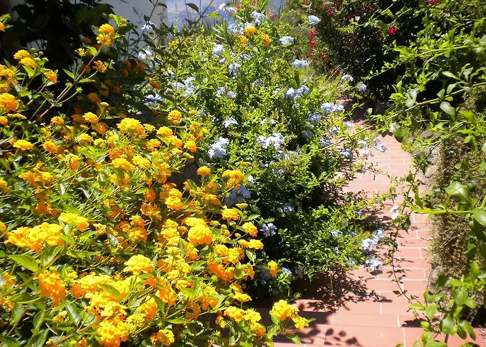 Casa U' Cucunciu Appartement Lipari (Isola Lipari)
