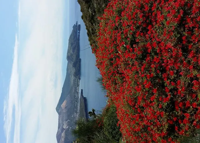 Apartment Casa U' Cucunciu *